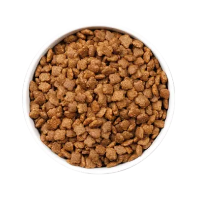 OWNAT ULTRA MATURE CAT